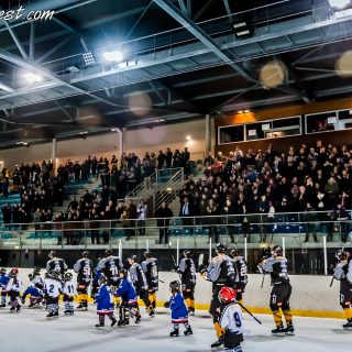 ALBATROS DE BREST VS LES DOGS DE CHOLET 16/11/18 - © Marion BESCOND