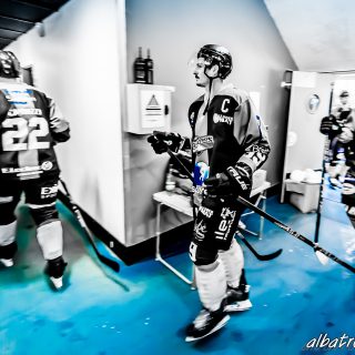 ALBATROS DE BREST VS LES DOGS DE CHOLET 16/11/18 - © Marion BESCOND