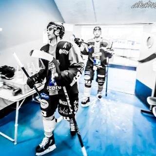 ALBATROS DE BREST VS LES DOGS DE CHOLET 16/11/18 - © Marion BESCOND