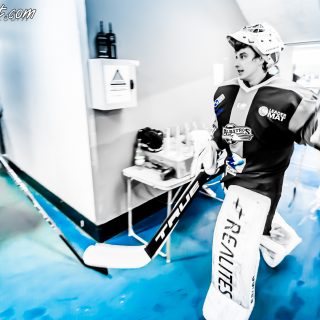 ALBATROS DE BREST VS LES DOGS DE CHOLET 16/11/18 - © Marion BESCOND