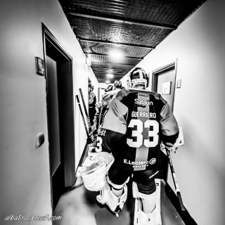 ALBATROS DE BREST VS LES DOGS DE CHOLET 16/11/18 - © Marion BESCOND