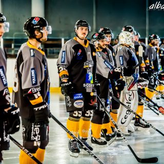 ALBATROS DE BREST VS LES ELEPHANTS DE CHAMBERY 15/12/18 - © Marion BESCOND