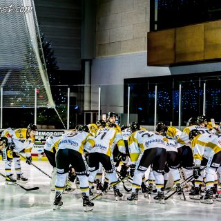 ALBATROS DE BREST VS LES ELEPHANTS DE CHAMBERY 15/12/18 - © Marion BESCOND
