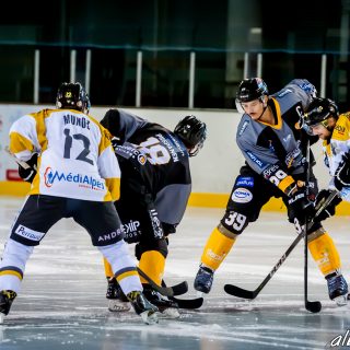 ALBATROS DE BREST VS LES ELEPHANTS DE CHAMBERY 15/12/18 - © Marion BESCOND