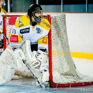 ALBATROS DE BREST VS LES ELEPHANTS DE CHAMBERY 15/12/18 - © Marion BESCOND