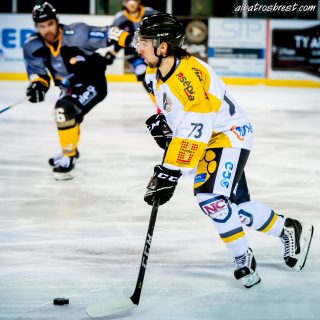 ALBATROS DE BREST VS LES ELEPHANTS DE CHAMBERY 15/12/18 - © Marion BESCOND