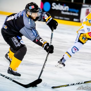 ALBATROS DE BREST VS LES ELEPHANTS DE CHAMBERY 15/12/18 - © Marion BESCOND