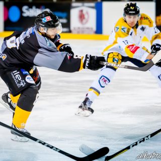 ALBATROS DE BREST VS LES ELEPHANTS DE CHAMBERY 15/12/18 - © Marion BESCOND