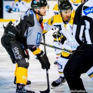 ALBATROS DE BREST VS LES ELEPHANTS DE CHAMBERY 15/12/18 - © Marion BESCOND