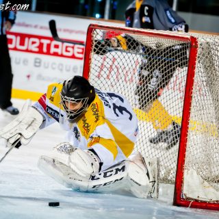 ALBATROS DE BREST VS LES ELEPHANTS DE CHAMBERY 15/12/18 - © Marion BESCOND