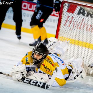 ALBATROS DE BREST VS LES ELEPHANTS DE CHAMBERY 15/12/18 - © Marion BESCOND