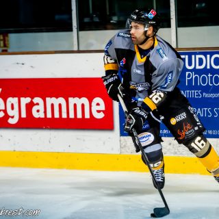 ALBATROS DE BREST VS LES ELEPHANTS DE CHAMBERY 15/12/18 - © Marion BESCOND