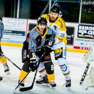 ALBATROS DE BREST VS LES ELEPHANTS DE CHAMBERY 15/12/18 - © Marion BESCOND