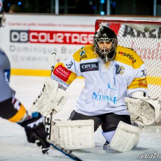 ALBATROS DE BREST VS LES ELEPHANTS DE CHAMBERY 15/12/18 - © Marion BESCOND