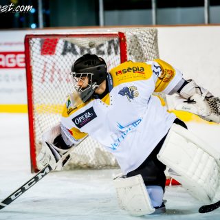ALBATROS DE BREST VS LES ELEPHANTS DE CHAMBERY 15/12/18 - © Marion BESCOND