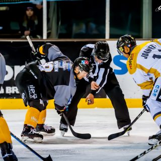 ALBATROS DE BREST VS LES ELEPHANTS DE CHAMBERY 15/12/18 - © Marion BESCOND