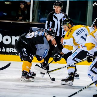 ALBATROS DE BREST VS LES ELEPHANTS DE CHAMBERY 15/12/18 - © Marion BESCOND