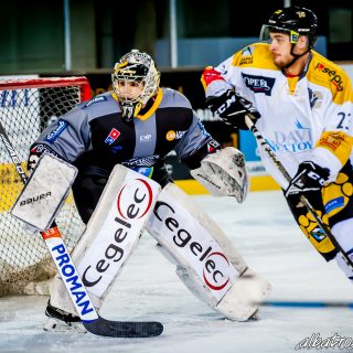 ALBATROS DE BREST VS LES ELEPHANTS DE CHAMBERY 15/12/18 - © Marion BESCOND