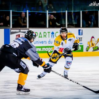 ALBATROS DE BREST VS LES ELEPHANTS DE CHAMBERY 15/12/18 - © Marion BESCOND