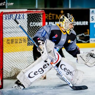 ALBATROS DE BREST VS LES ELEPHANTS DE CHAMBERY 15/12/18 - © Marion BESCOND