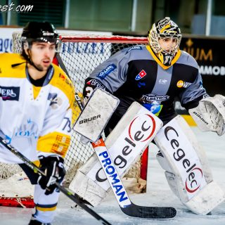 ALBATROS DE BREST VS LES ELEPHANTS DE CHAMBERY 15/12/18 - © Marion BESCOND