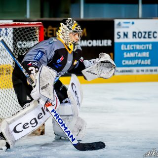 ALBATROS DE BREST VS LES ELEPHANTS DE CHAMBERY 15/12/18 - © Marion BESCOND