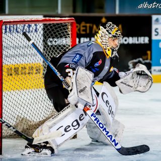 ALBATROS DE BREST VS LES ELEPHANTS DE CHAMBERY 15/12/18 - © Marion BESCOND