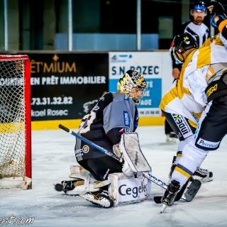 ALBATROS DE BREST VS LES ELEPHANTS DE CHAMBERY 15/12/18 - © Marion BESCOND