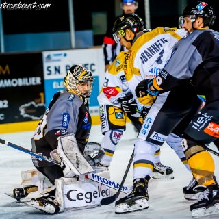 ALBATROS DE BREST VS LES ELEPHANTS DE CHAMBERY 15/12/18 - © Marion BESCOND
