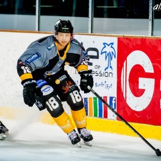 ALBATROS DE BREST VS LES ELEPHANTS DE CHAMBERY 15/12/18 - © Marion BESCOND