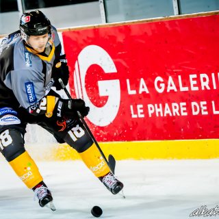 ALBATROS DE BREST VS LES ELEPHANTS DE CHAMBERY 15/12/18 - © Marion BESCOND