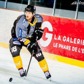 ALBATROS DE BREST VS LES ELEPHANTS DE CHAMBERY 15/12/18 - © Marion BESCOND