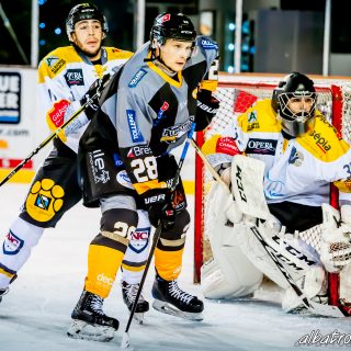 ALBATROS DE BREST VS LES ELEPHANTS DE CHAMBERY 15/12/18 - © Marion BESCOND
