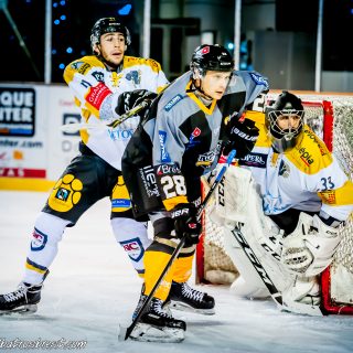ALBATROS DE BREST VS LES ELEPHANTS DE CHAMBERY 15/12/18 - © Marion BESCOND