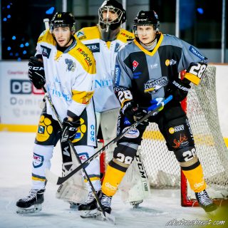 ALBATROS DE BREST VS LES ELEPHANTS DE CHAMBERY 15/12/18 - © Marion BESCOND