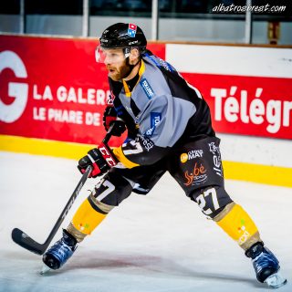 ALBATROS DE BREST VS LES ELEPHANTS DE CHAMBERY 15/12/18 - © Marion BESCOND