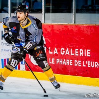 ALBATROS DE BREST VS LES ELEPHANTS DE CHAMBERY 15/12/18 - © Marion BESCOND