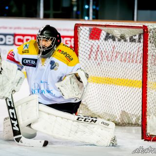 ALBATROS DE BREST VS LES ELEPHANTS DE CHAMBERY 15/12/18 - © Marion BESCOND