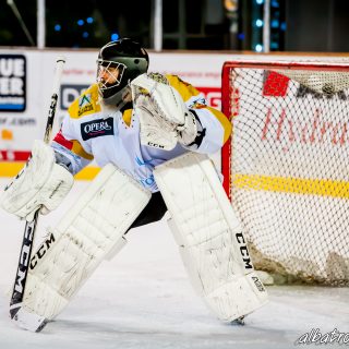 ALBATROS DE BREST VS LES ELEPHANTS DE CHAMBERY 15/12/18 - © Marion BESCOND