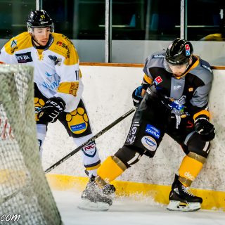 ALBATROS DE BREST VS LES ELEPHANTS DE CHAMBERY 15/12/18 - © Marion BESCOND