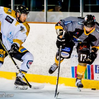 ALBATROS DE BREST VS LES ELEPHANTS DE CHAMBERY 15/12/18 - © Marion BESCOND