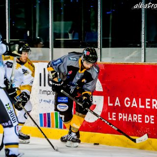 ALBATROS DE BREST VS LES ELEPHANTS DE CHAMBERY 15/12/18 - © Marion BESCOND