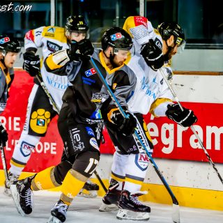 ALBATROS DE BREST VS LES ELEPHANTS DE CHAMBERY 15/12/18 - © Marion BESCOND