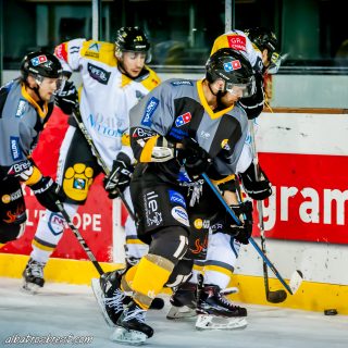 ALBATROS DE BREST VS LES ELEPHANTS DE CHAMBERY 15/12/18 - © Marion BESCOND