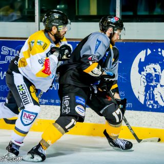 ALBATROS DE BREST VS LES ELEPHANTS DE CHAMBERY 15/12/18 - © Marion BESCOND