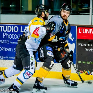 ALBATROS DE BREST VS LES ELEPHANTS DE CHAMBERY 15/12/18 - © Marion BESCOND
