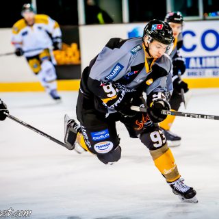 ALBATROS DE BREST VS LES ELEPHANTS DE CHAMBERY 15/12/18 - © Marion BESCOND