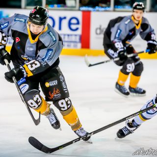 ALBATROS DE BREST VS LES ELEPHANTS DE CHAMBERY 15/12/18 - © Marion BESCOND