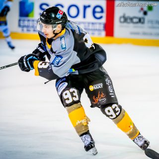ALBATROS DE BREST VS LES ELEPHANTS DE CHAMBERY 15/12/18 - © Marion BESCOND