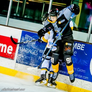 ALBATROS DE BREST VS LES ELEPHANTS DE CHAMBERY 15/12/18 - © Marion BESCOND